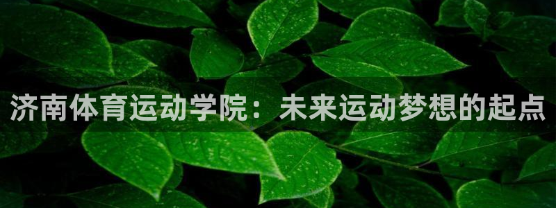 yy易游官网下载招商电话是多少啊:济南体育运动学院:未来运动